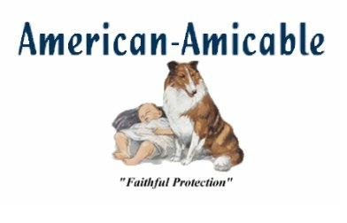 American Amicable